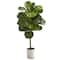 3.5ft. Fiddle Leaf Tree in White Ceramic Planter